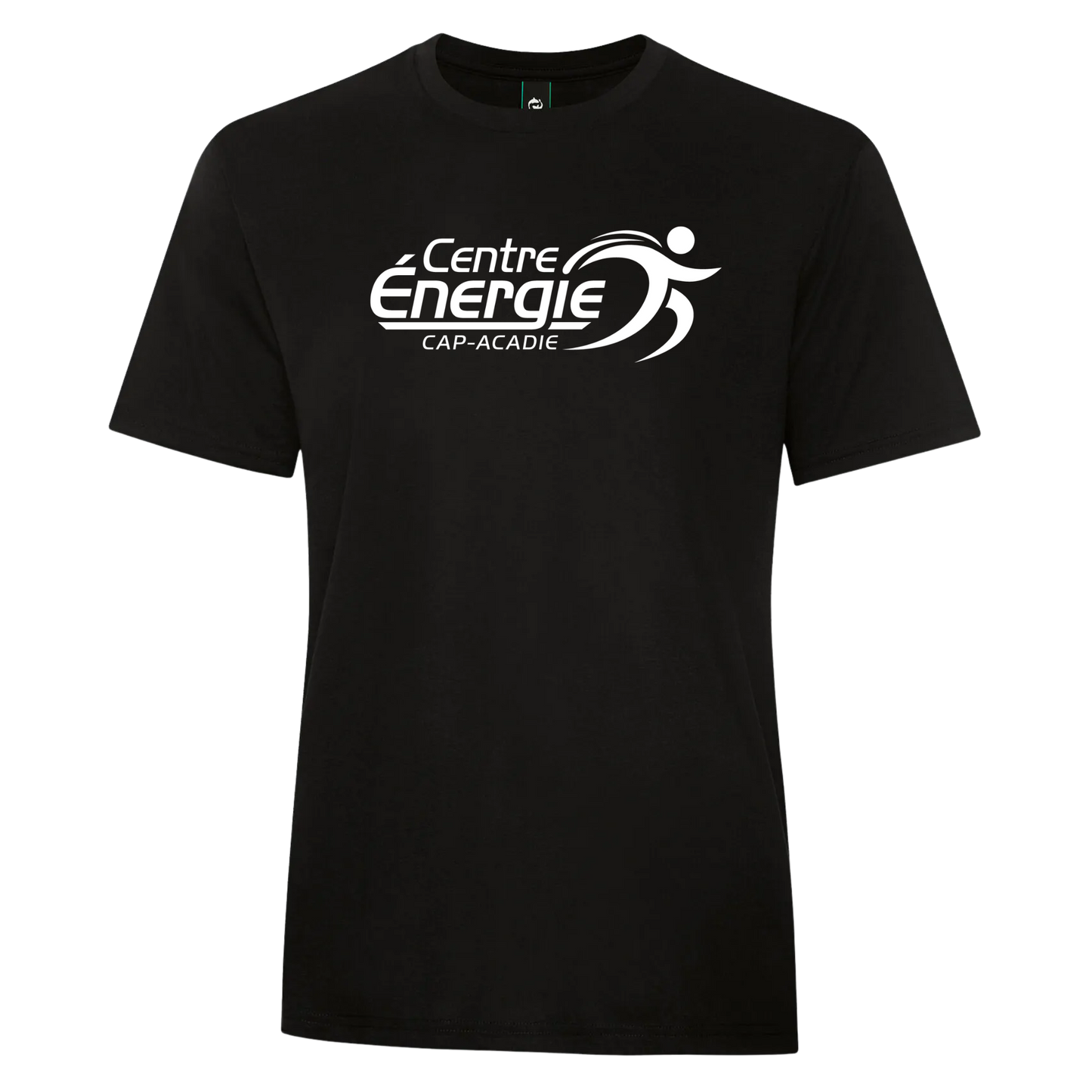 Adult Unisex Triblend Tee