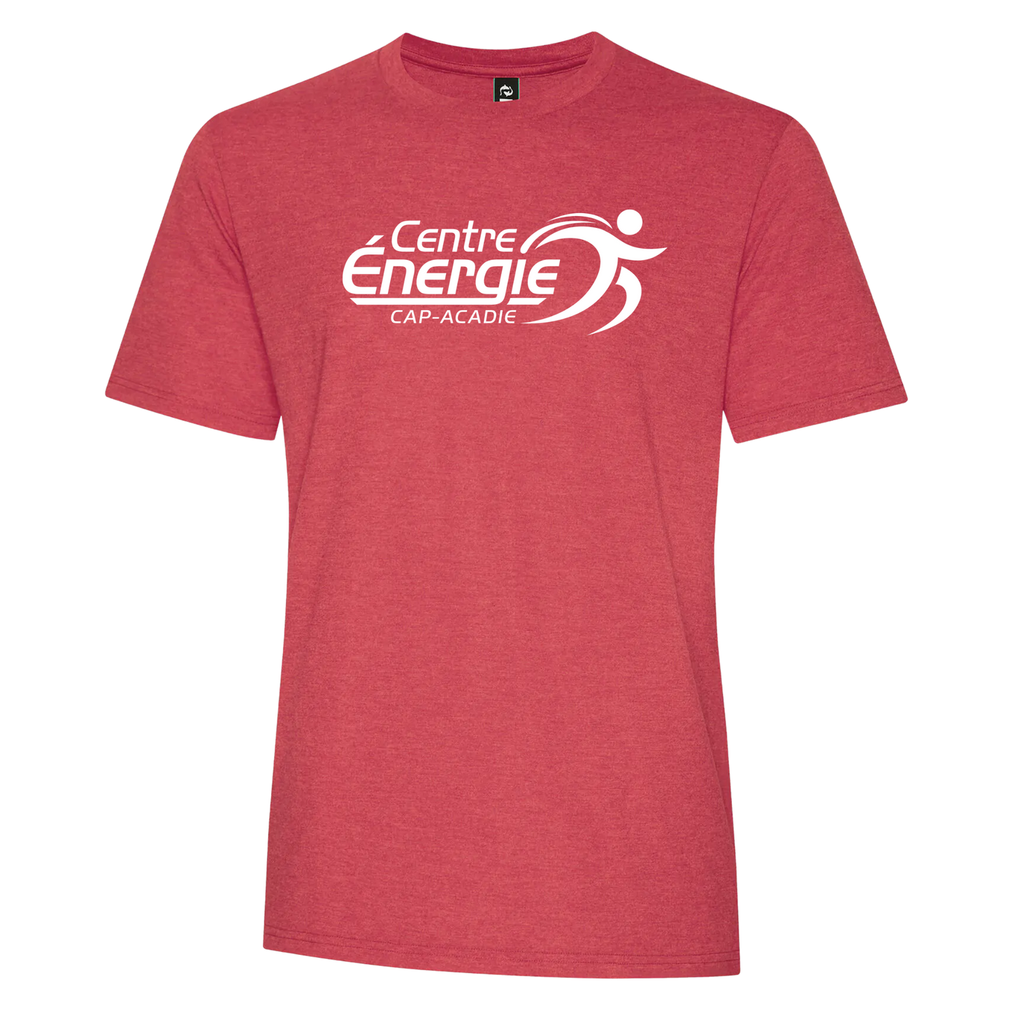 Adult Unisex Triblend Tee